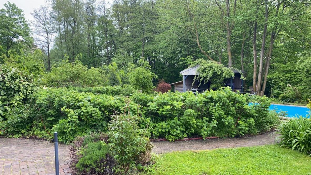 Villa Haus West Mechelsdorf Exterior foto
